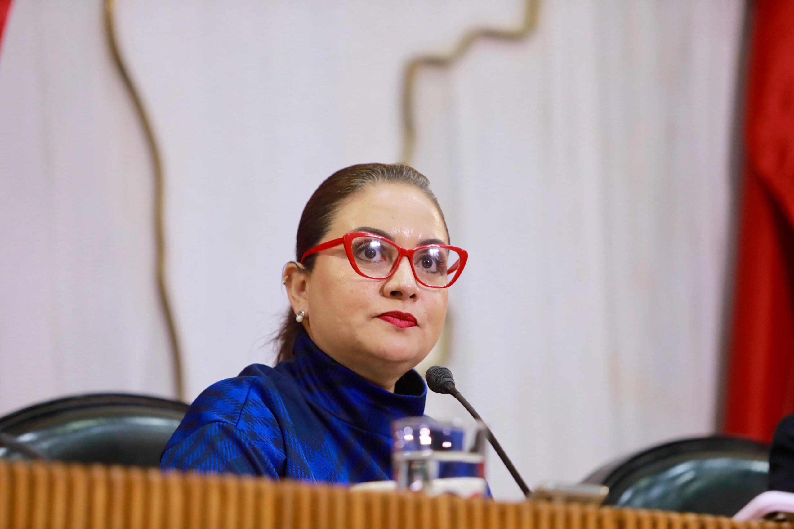 “En el PRI estamos listos para aprobar el presupuesto en Nuevo León”: Armida Serrato