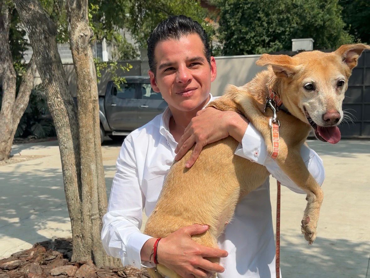 Miguel Flores pide impulsar adopción responsable de mascotas en NL