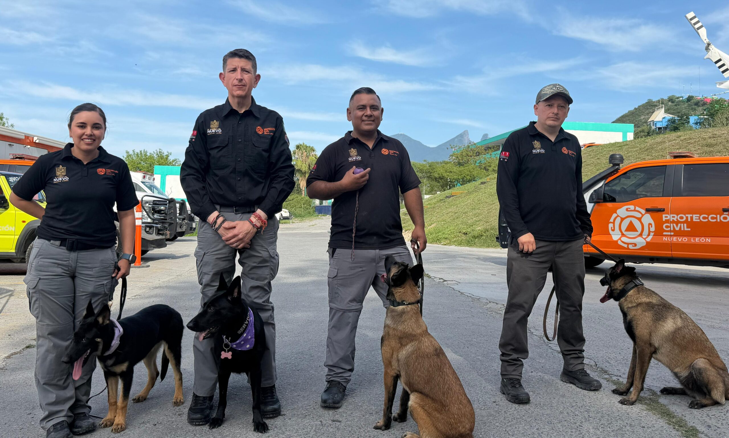 Refuerzan Manada K9 de Protección Civil Nuevo León con nuevas cachorras