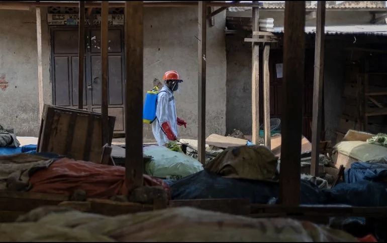 OMS eleva a 220 las presuntas muertes por el brote de ébola en el Congo