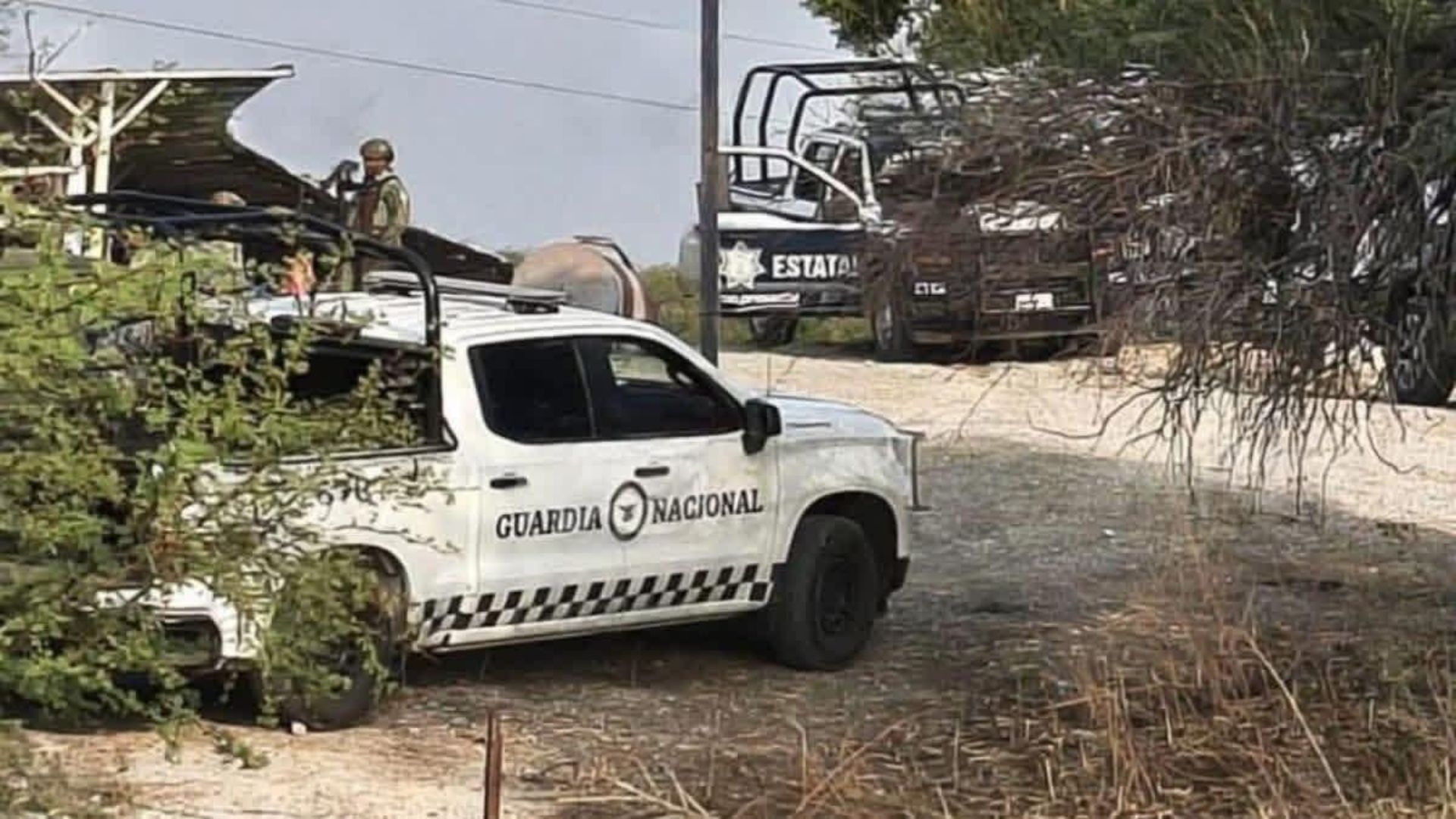 Ataque armado deja a 10 personas sin vida en rancho de Puebla